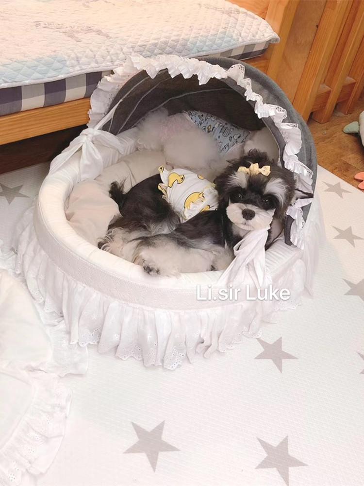 반려동물 쿨매트 냉감 침대 여름용 쿠션 포토 배경 고양이 강아지 소파 겸용 쾌적한 휴식 - 상세 이미지 5