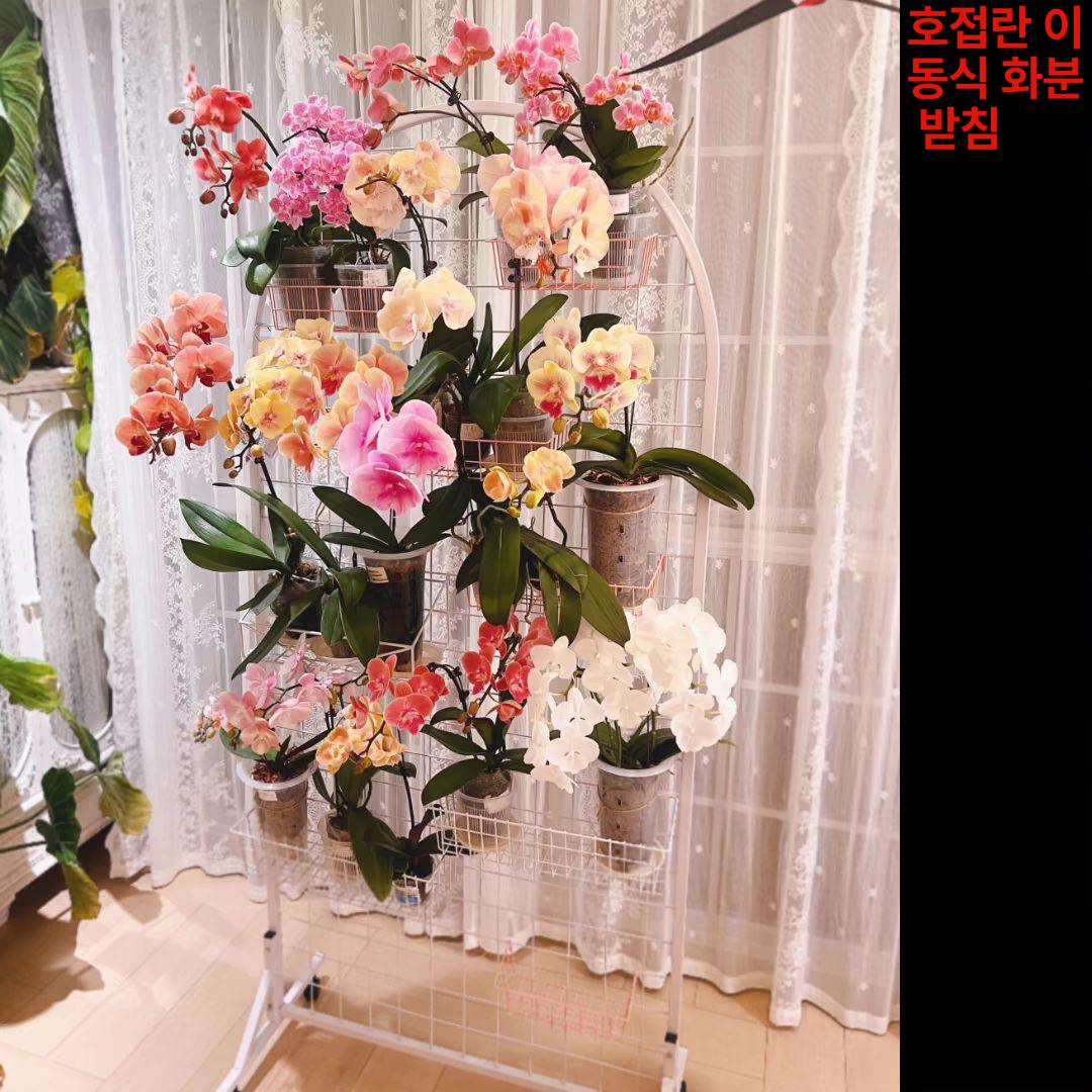 철제 진열대 철망 폴딩 휀스 거치대 디스플레이 바퀴 랙 앵글 칸막이 가벽 격자 - 상세 이미지 5