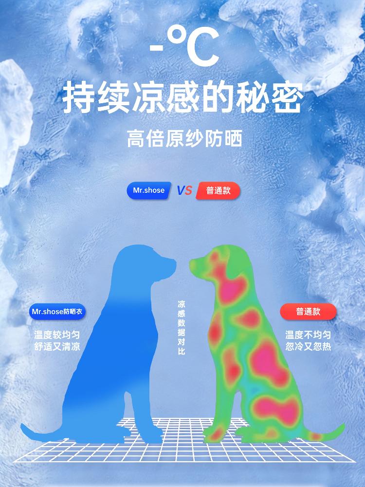 강아지 판초 망토 반려동물 바람막이 여름 자외선차단 조끼 우의 애견 레인코트 판쵸 - 상세 이미지 4
