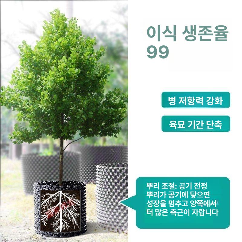 화분분갈이도구 뿌리억제 통풍구조 원예용 분재키우기 플라스틱 이식용 정원 - 상세 이미지 5