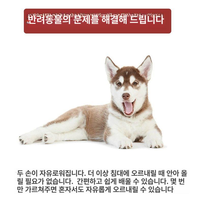 접이식 애견사다리 논슬립 미끄럼방지 차량용 경사로 펫 보조 탑승 강아지계단 - 상세 이미지 5