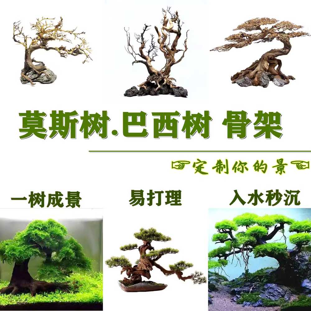 어항유목 활착 모스나무 어항꾸미기 가지 조경 소품 파충류 트리 수초 열대어 - 상세 이미지 2