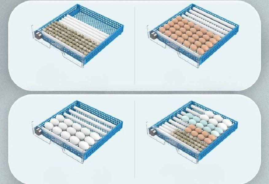 병아리부화기인큐베이터 계란 농기구 가정용 루틴 계란부화기 자동 부화용품 조류 용품 둥지 - 상세 이미지 4