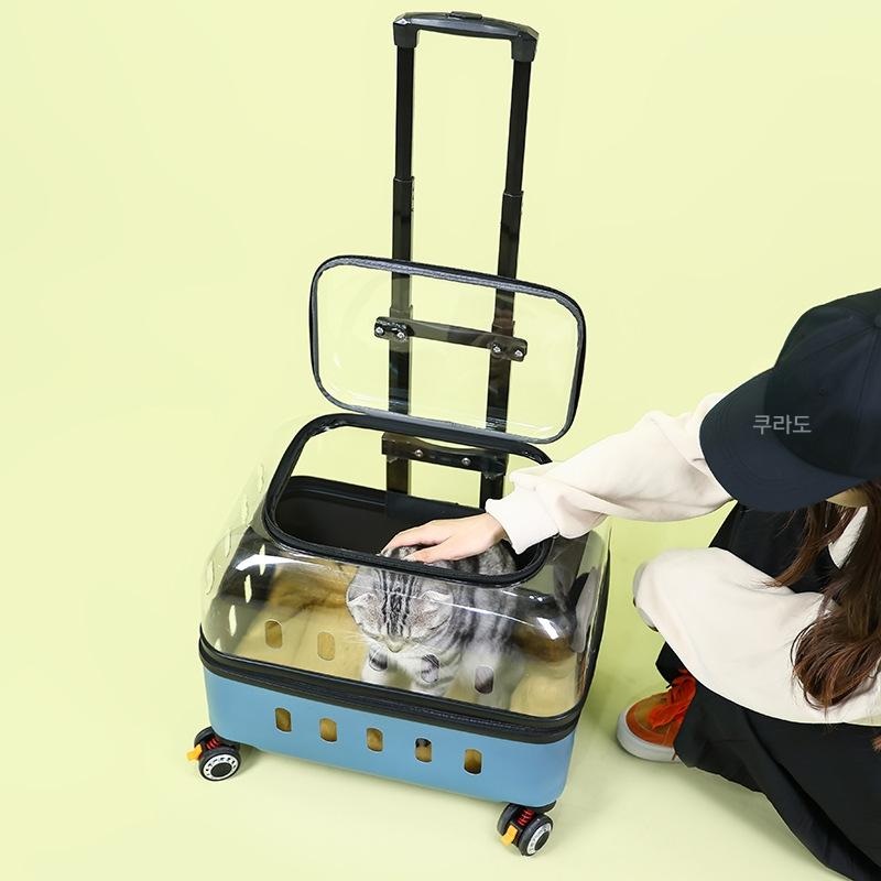 고양이 이동장 투명 강아지 캐리어 휴대용 여행 블랙 - 상세 이미지 4