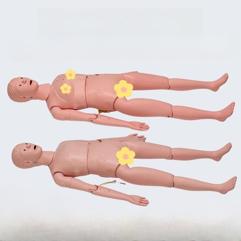 의료용 인체모형 실습용 남성 마네킹 흉부 해부학 교육 연습 더미 실제 크기 - 상품 이미지