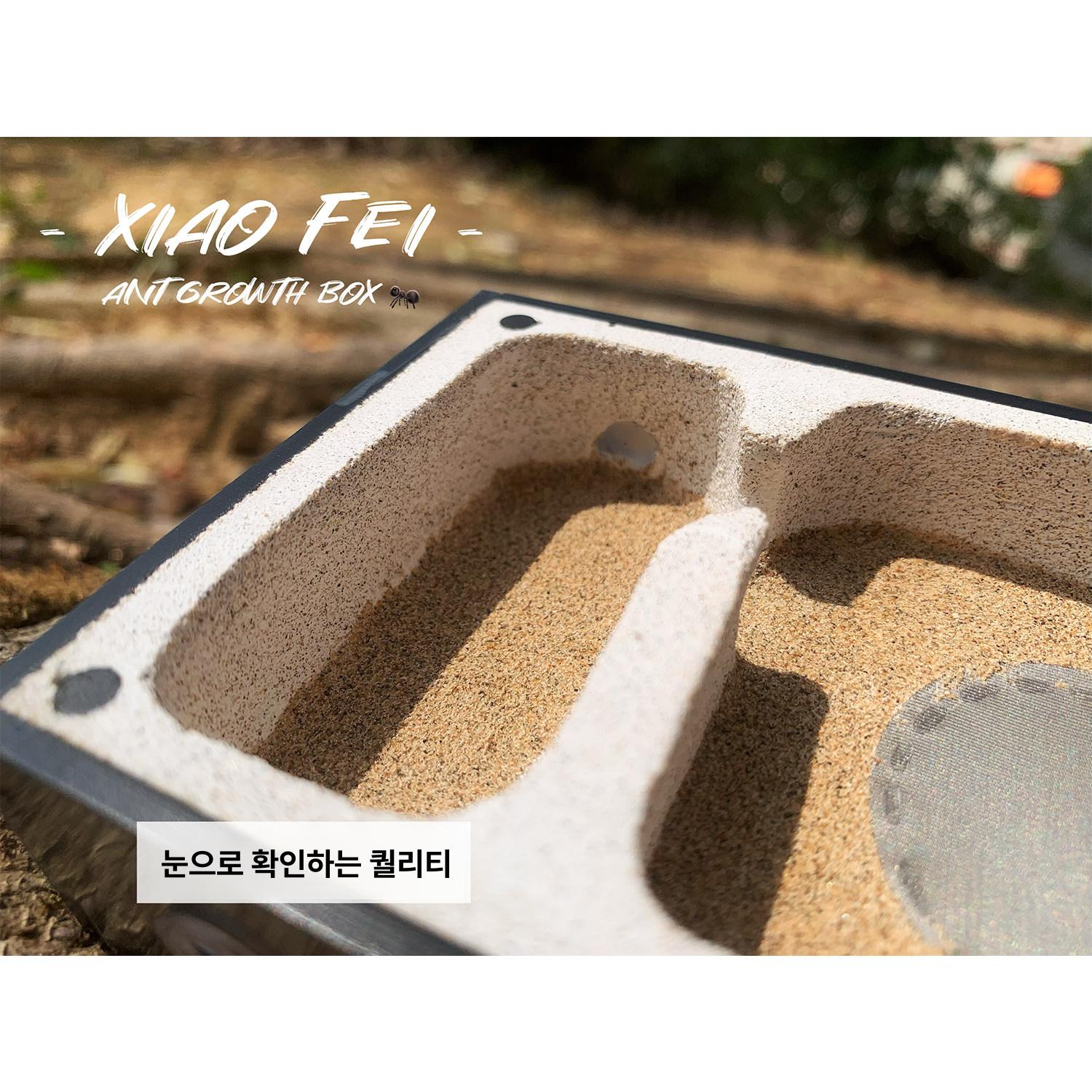 개미 사육 채집 세트 야외 먹이 채집통 둥지 개미집 아크릴 파충류 하우스 투명 키트 - 상세 이미지 2