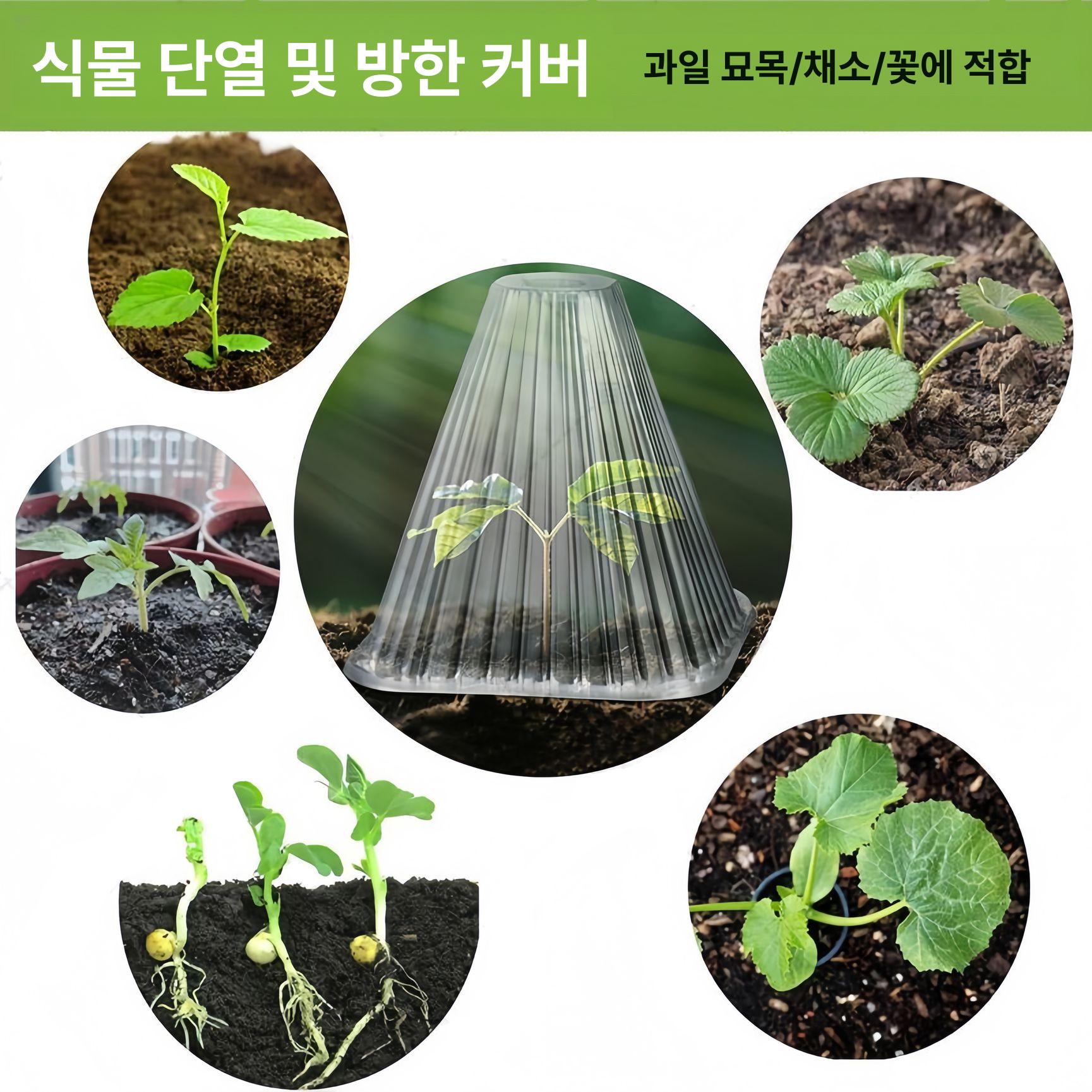 모종 소형 보호커버 방충 하우스 식물돔 방한 고깔 방지 해충 식물투명온실 보온 - 상세 이미지 3