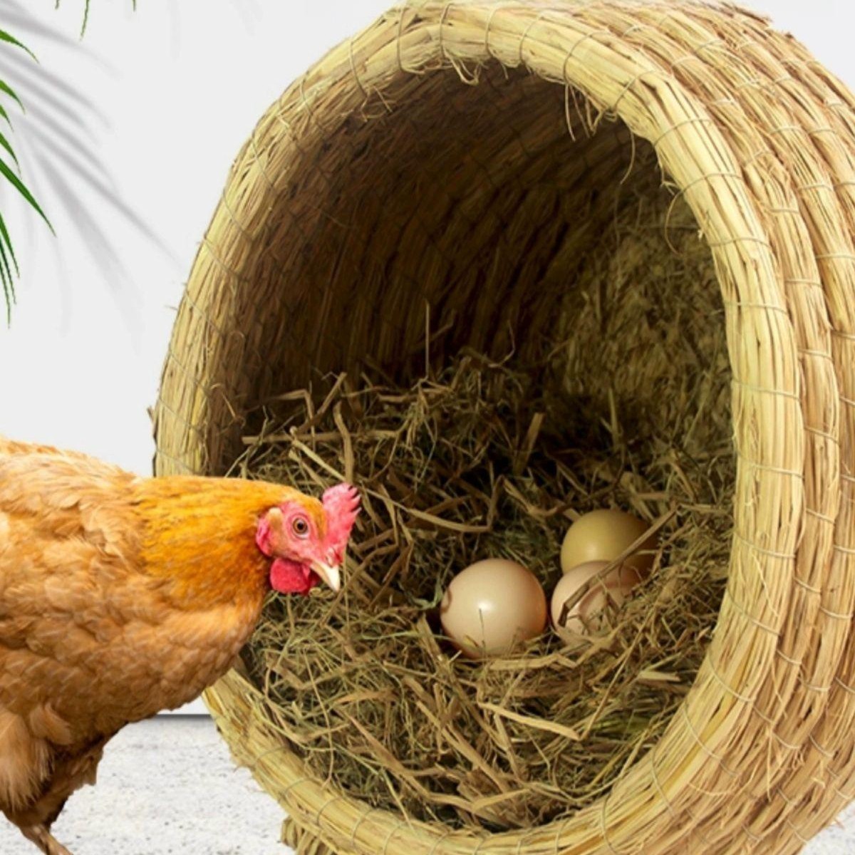 닭산란통 둥지 닭알 은신처 바구니 볏짚 산란장 야외 알낳는집 방수 병아리 마리용 - 상품 이미지