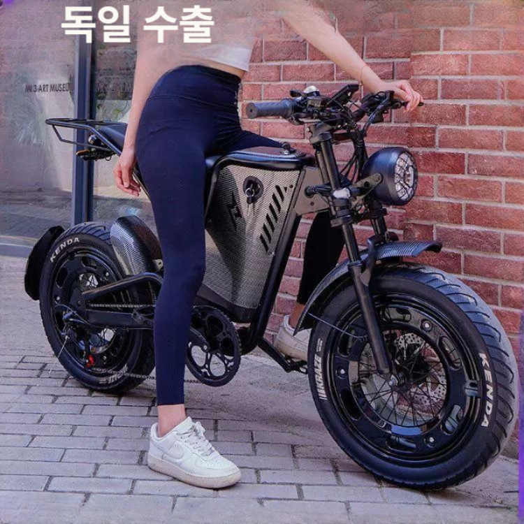 레트로 전기팻바이크 48v 전동 전기자전거 성인용 오프로드 출퇴근용 올터레인 - 상세 이미지 3