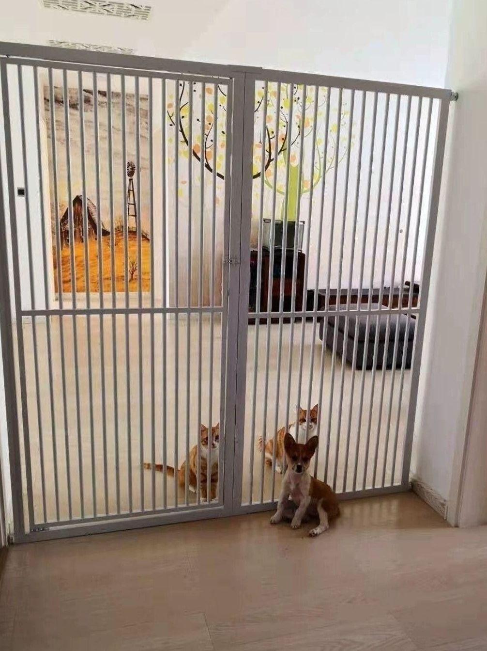 높은 울타리 안전 고양이 점프방지 펫도어 대형 강아지 중문 고양이방묘문 점프 애견 대형견 - 상품 이미지