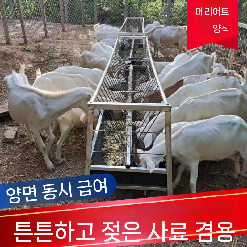 축산용 먹이통 스테인레스 배식통 축산 대형 건초 여물통 스테인리스 사료 급식기 급여기 - 상세 이미지 3