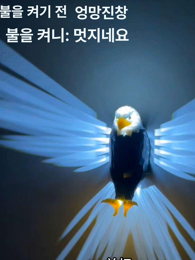 램프 독수리조명 침실 벽등 감성 카페 거실 펜던트 천장 라탄조명 전등갓 수유 배터리 - 상세 이미지 2