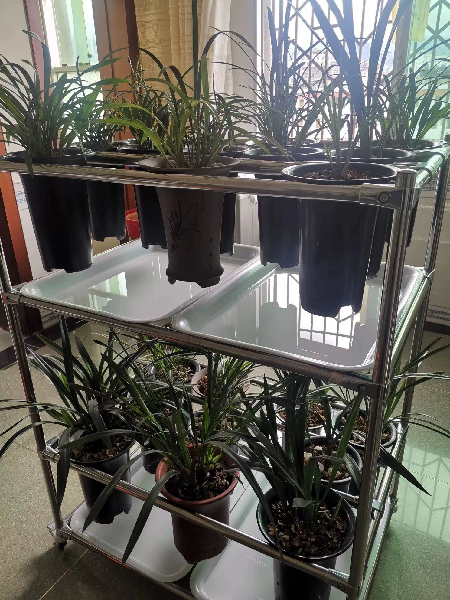 스테인레스 화분받침대 다이 거치대 스탠드 거실 식물 계단식 다용도 계단형 테라스 - 상세 이미지 4