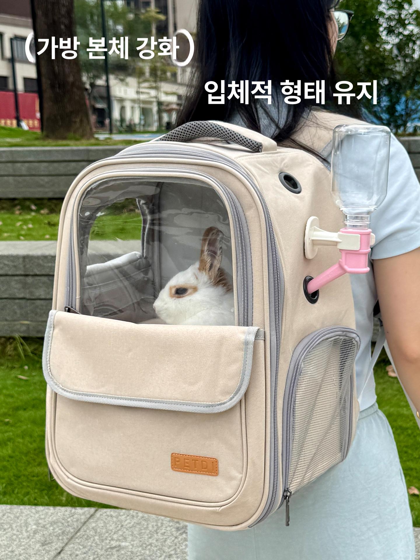 메쉬 앞가방 반려동물 애견가방 캐리어 매쉬 애견백팩 기내용 통기성 애완동물 여행 - 상세 이미지 2
