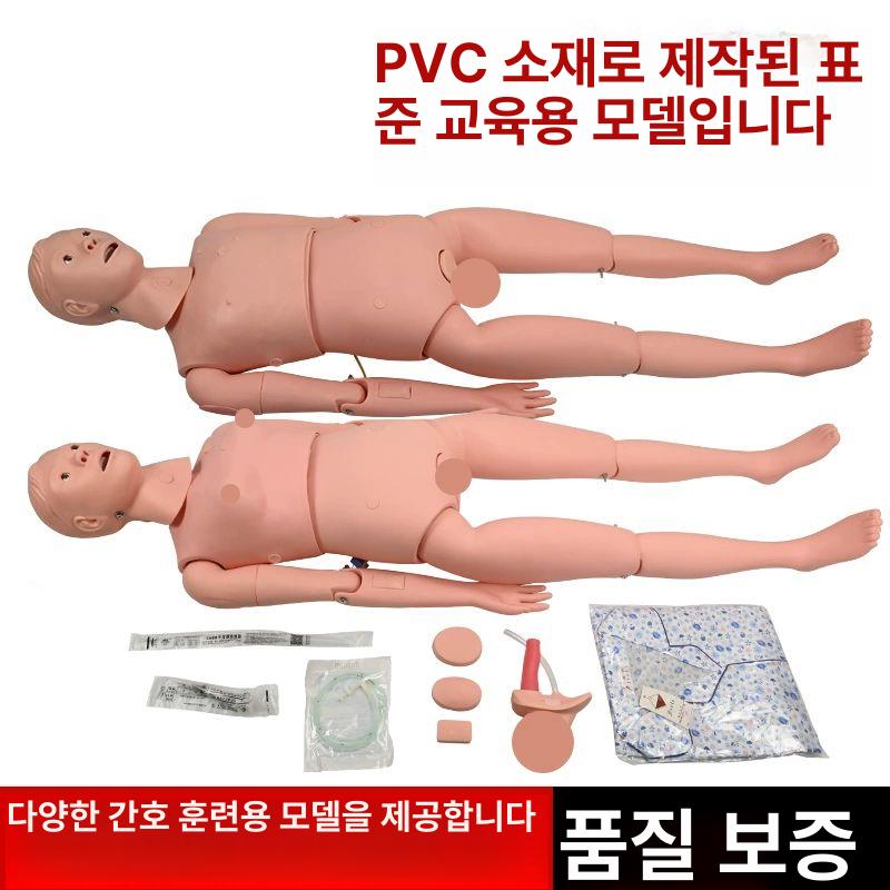 간호실습 인체 의학 치과 교육용 뼈 교구 간호학과 간호사 의대 과학 학습 훈련 - 상세 이미지 3