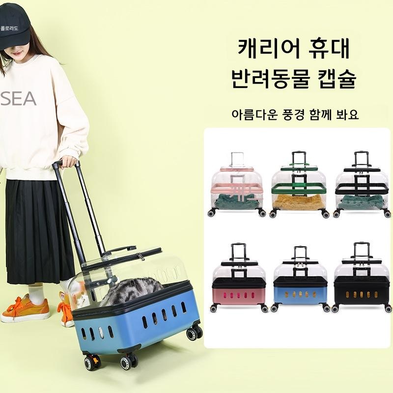 고양이 이동장 투명 강아지 캐리어 휴대용 여행 블랙 - 상세 이미지 2