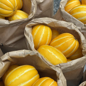 10kg 껍질째 먹는 고당도 성주 꿀 참외 못난이 가정용 선물용 꼬마 고... 맛있게 먹은 솔직 후기 - 상품 이미지 3