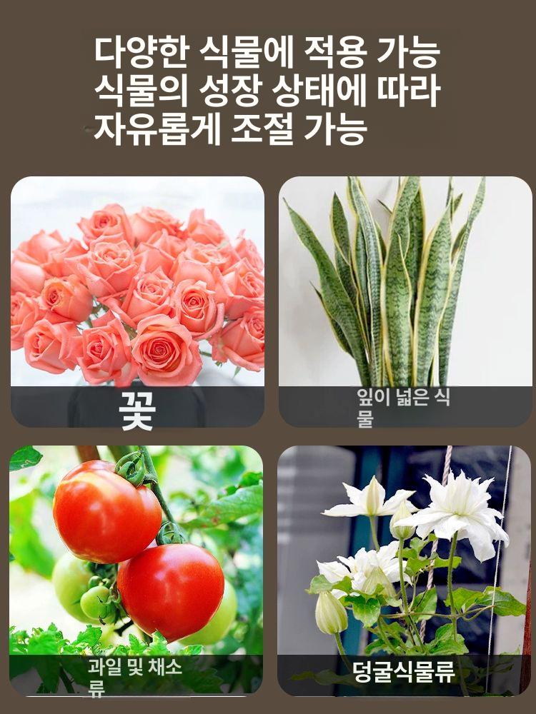 식물 지지대 원형거치대 다육이 화분 지탱봉 실내 정원용 철제 스탠드 세트 - 상세 이미지 5