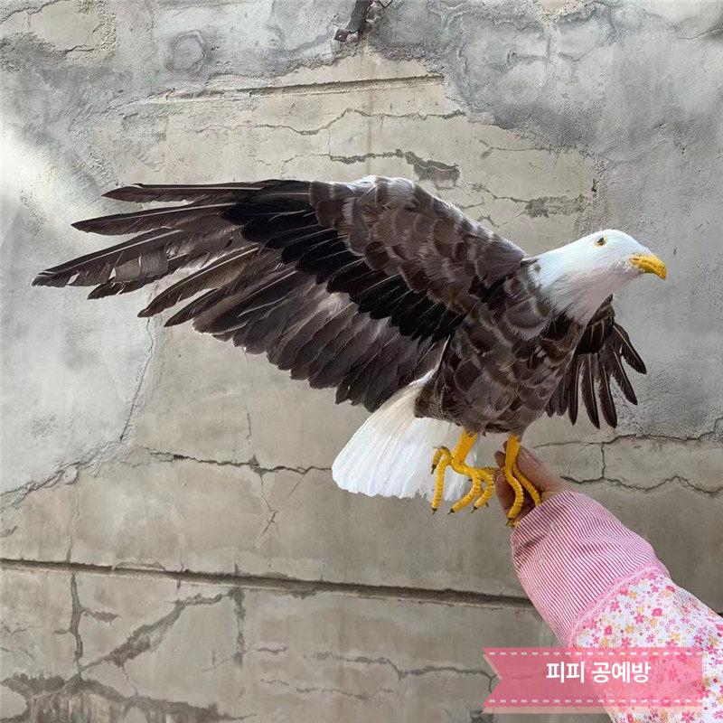 독수리 모형 새쫓기 맹금류 조류퇴치 정원장식 비둘기 참새 방제용 가짜새 해충퇴치 실내외용 - 상세 이미지 4