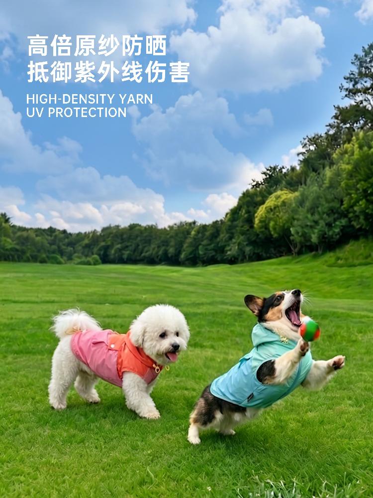 강아지 판초 망토 반려동물 바람막이 여름 자외선차단 조끼 우의 애견 레인코트 판쵸 - 상세 이미지 3