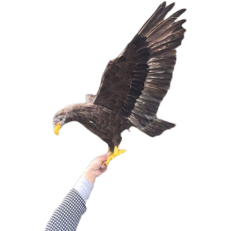 새쫓기 독수리 모형 과수원 농장용 조류퇴치 대형 허수아비 피규어 정원 장식 시뮬레이션 - 상세 이미지 2