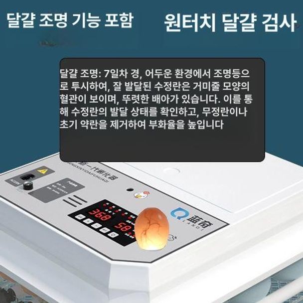 신형 유정란 병아리부화기 조류 메추리알 용품 가정용 오리 꿩 계란부화기 지능형 - 상세 이미지 3