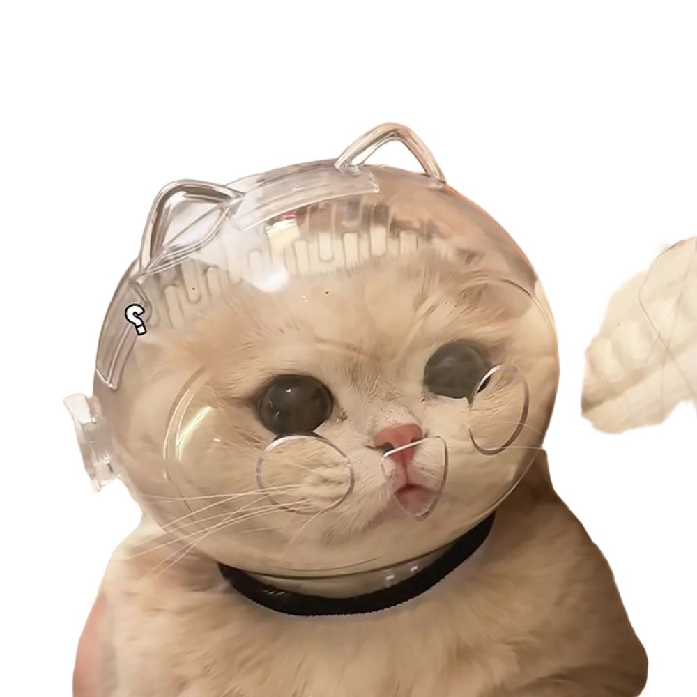 제거용 풋브러쉬 발바닥 발각질제거기 양면 풋파일발각질제거 뒷꿈치 발뒤꿈치 굳은살 발뒷꿈치 소형 고양이 후드 (2.5-5kg) - 상품 이미지