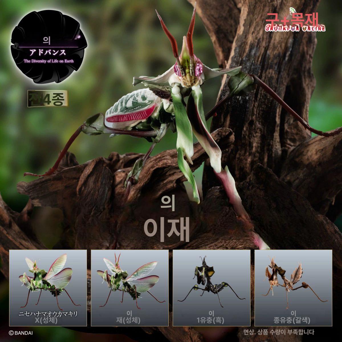 생물 피규어 악마꽃사마귀 모형 도감 장식품 곤충 에이전트 컬렉션 디오라마 - 상세 이미지 2