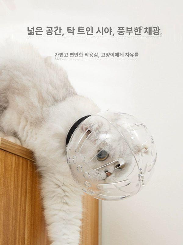 고양이 커버 네일 손톱깎이 보호캡 미용 목욕 보호기 샤워 물림방지 발톱깎이 - 상세 이미지 3