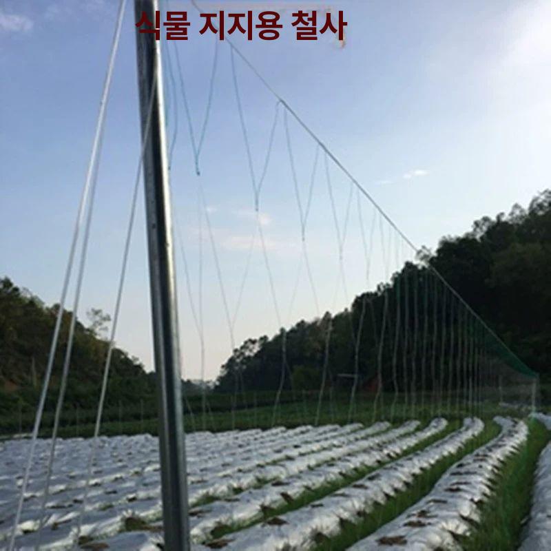 로프줄 플라스틱와이어 고강도 정원 고정끈 원예 유인줄 코팅와이어 플라스틱철사 - 상세 이미지 3