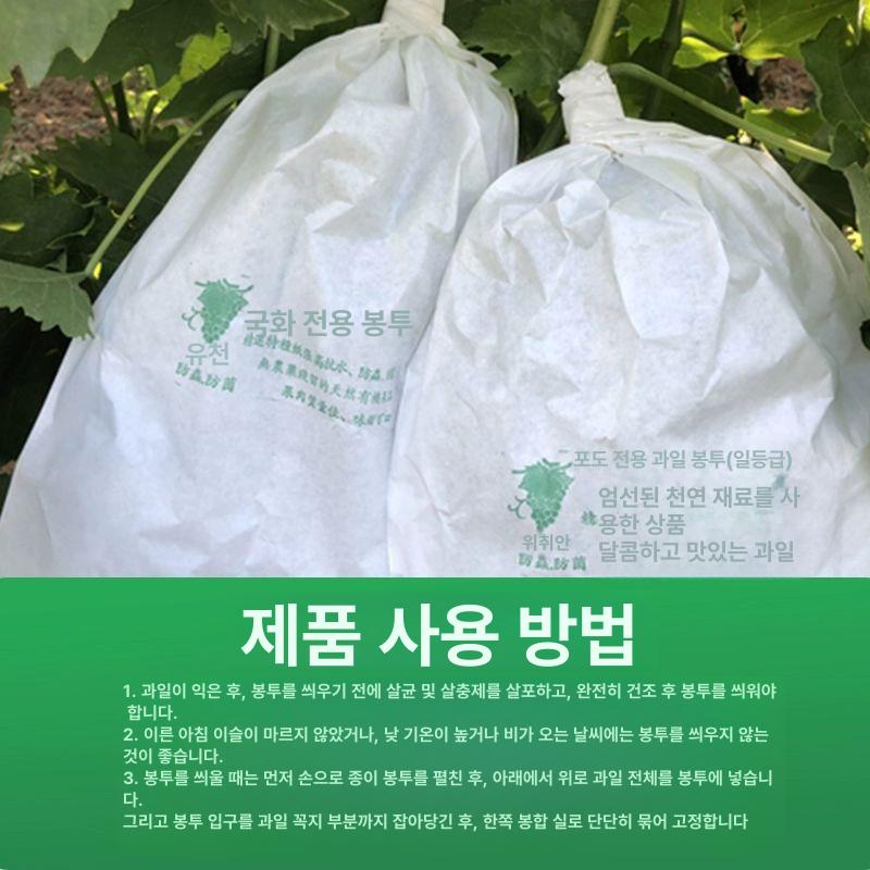 포도 봉지 과일 주머니 망사 방충 싸개 포장재 비닐 메쉬백 보호망 매쉬망 해충 - 상세 이미지 3