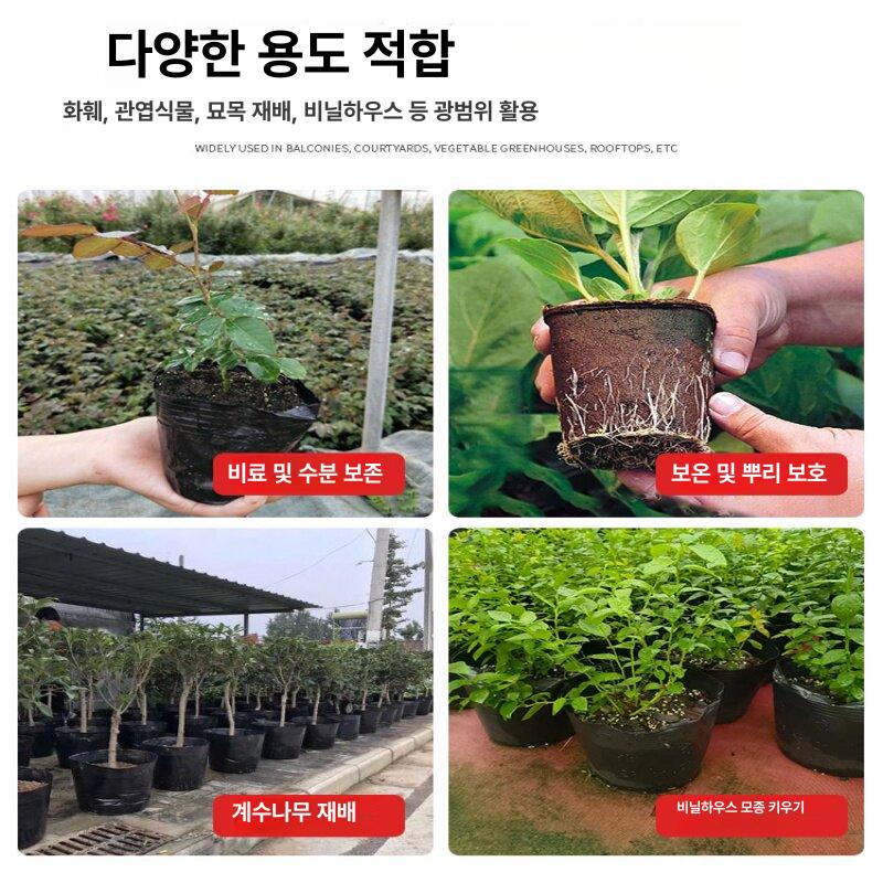 모종 화분 대용량 비닐포트 육묘 파종용 농업용 원형 식물 일회용 원예 플라스틱 텃밭 - 상세 이미지 3