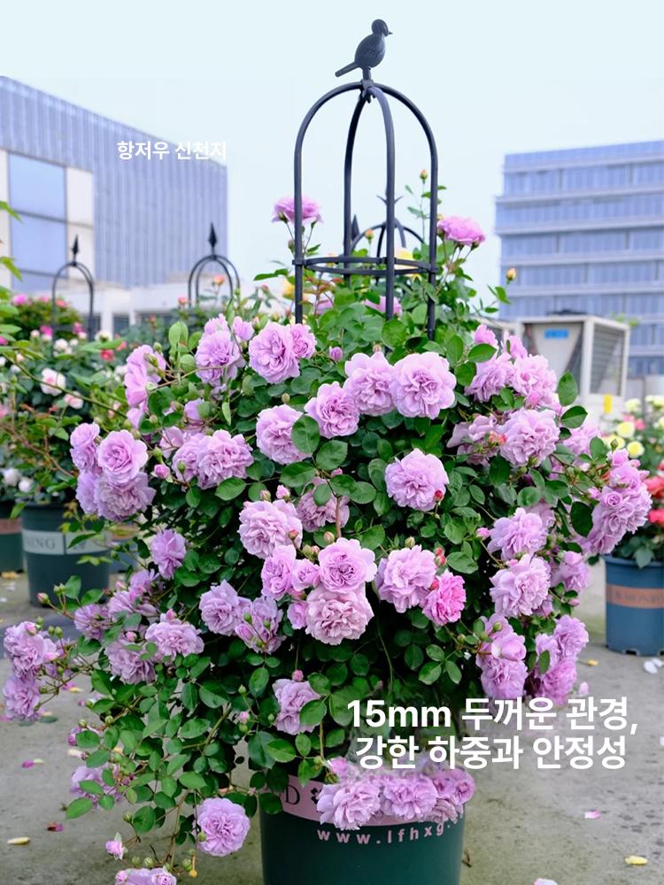 정원 포도 식물 과일 조류 고정 해충 원예 덩굴 도구 사과 지주대 액세서리 심기 - 상세 이미지 3