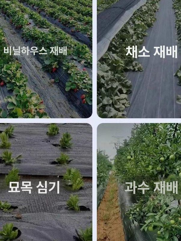 제초매트 잡초억제 부직포 방초막 농업용 차단재 온실용 방제 농자재 까만색 - 상세 이미지 3