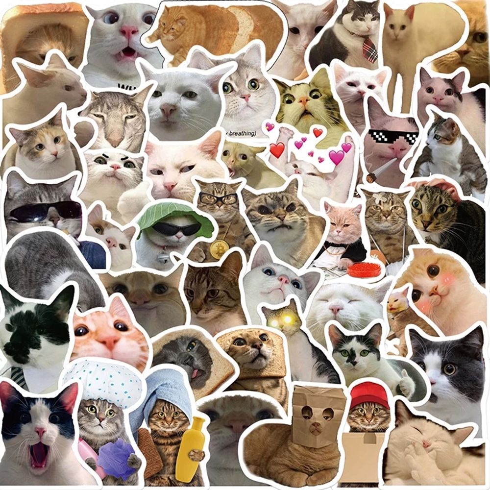 샤워커튼 고양이 커튼 커텐 욕실 재미있는 목욕 바다 - 상세 이미지 4