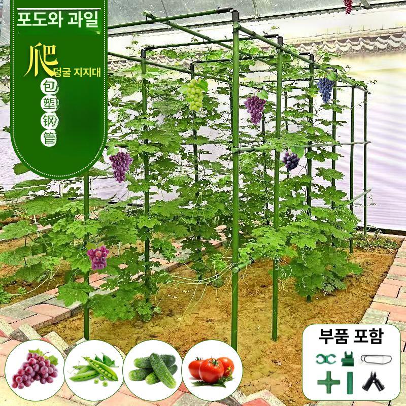 지줏대 오이지지대 농업용 지주대 파이프 프레임 과수 넝쿨지지대 서포트 - 상세 이미지 3