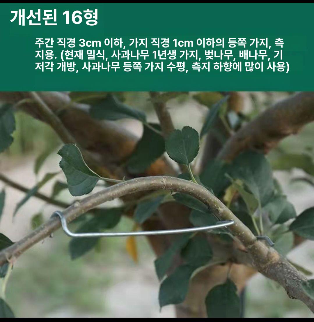 분재용 철사 과수 사과나무 과수유인줄 원예용 농자재 원예 가지치기 - 상세 이미지 3