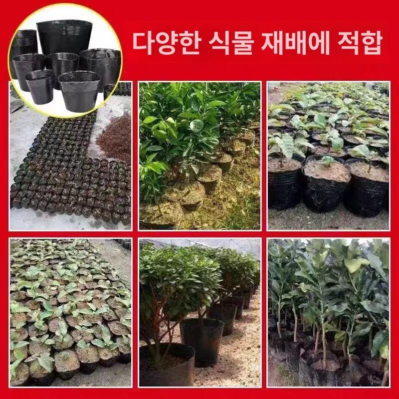 대형 화분포트 일회용 봉지 재배 파종 원예 분갈이 비닐화분 모종화분 육묘 화훼 - 상세 이미지 3
