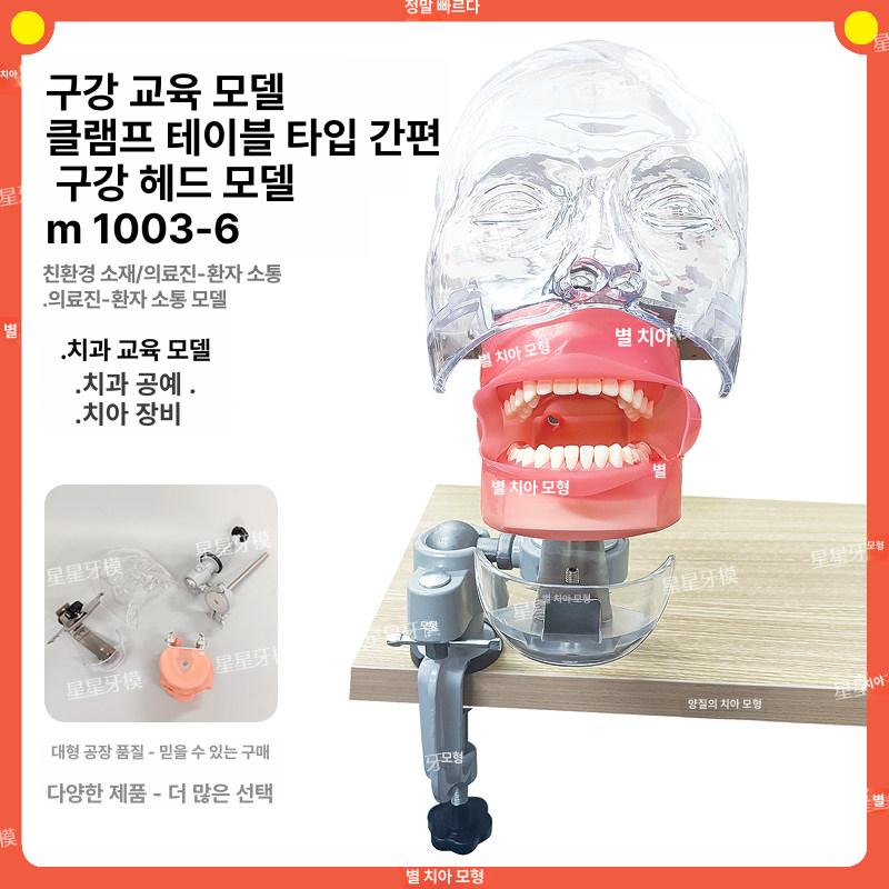 치과실습 모형 연습 환자 덴티폼 수술 헤드 잇몸 구강 교육용 교육 모델 실리콘 치과 - 상세 이미지 2