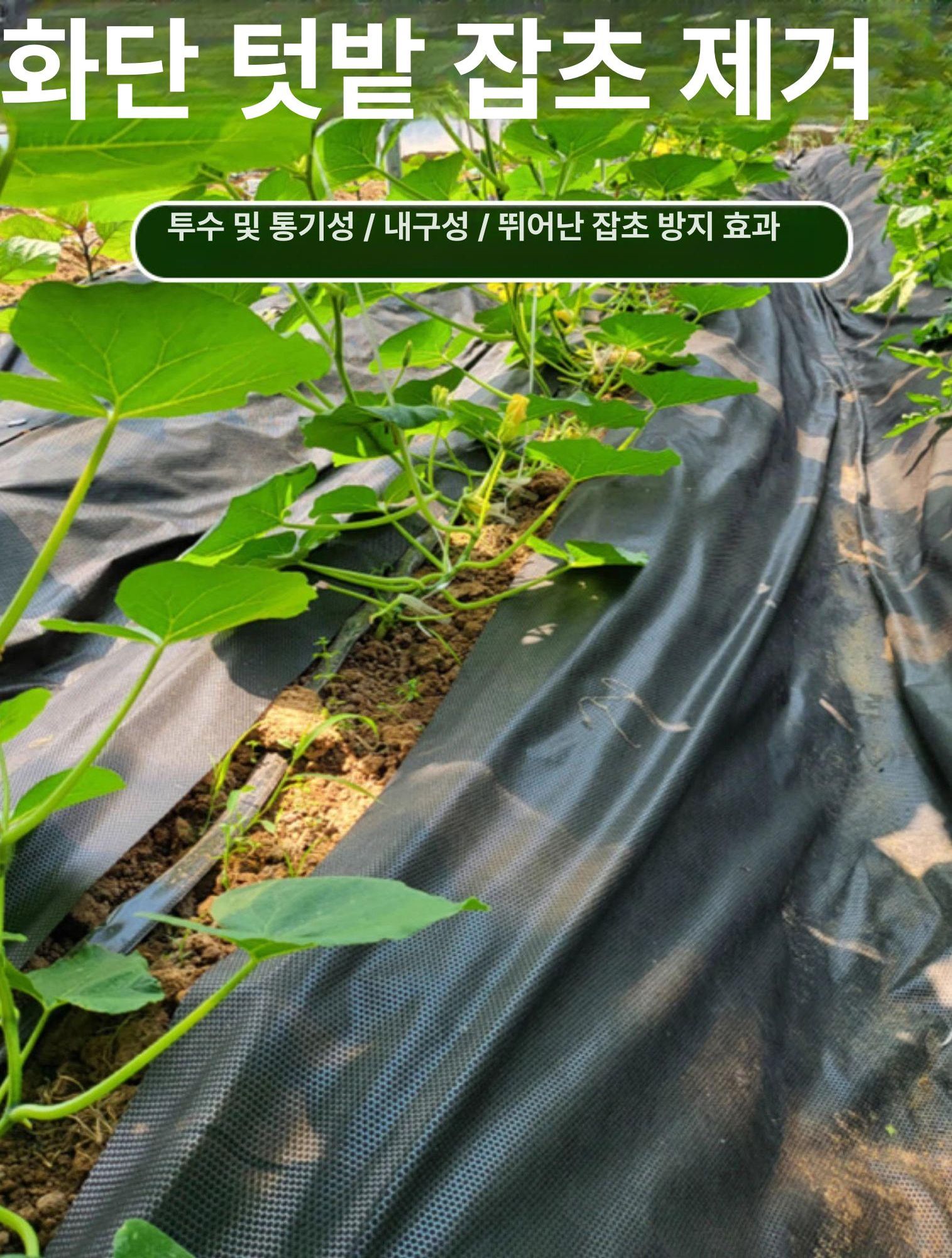 포대 녹화마대 식생토낭 조경 사면 하천 산사태 토공법 토사 환경보호 수해복구 - 상세 이미지 2