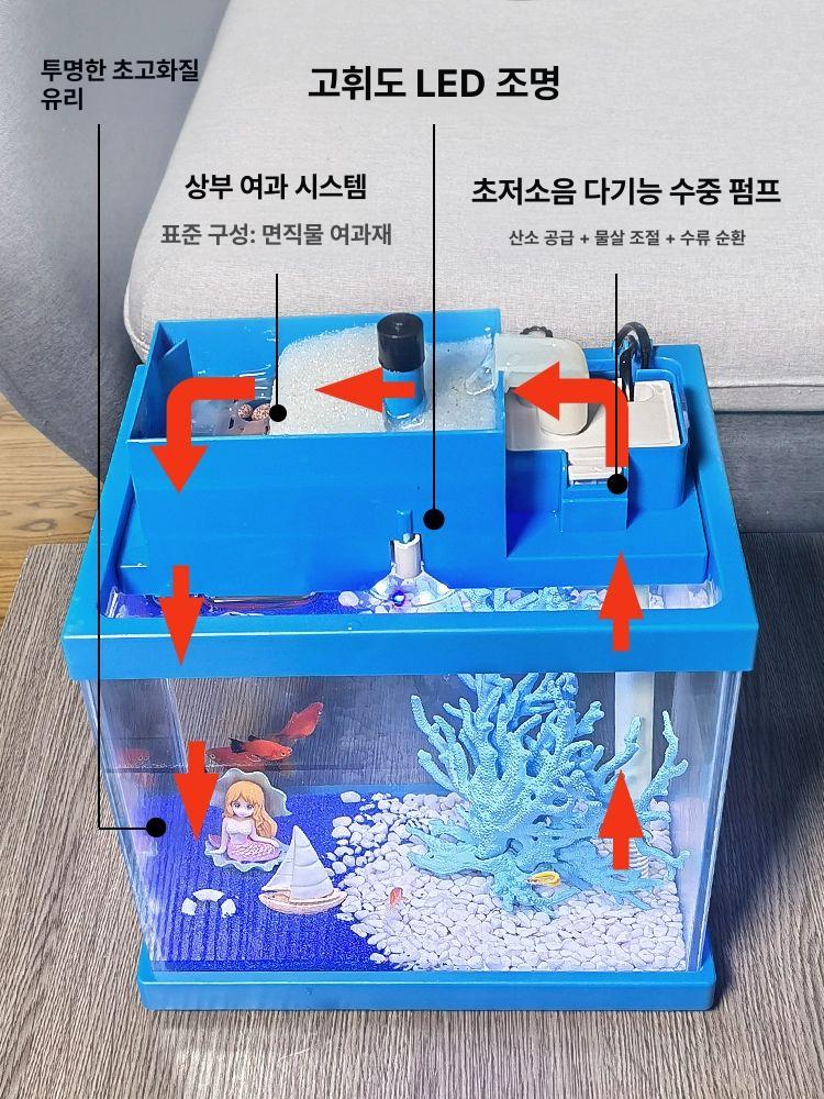 투명 미니어항 소형 책상 항아리 원형 홈 데스크탑 사무실 키우기 미니 데스크톱 거실 베타 - 상세 이미지 4