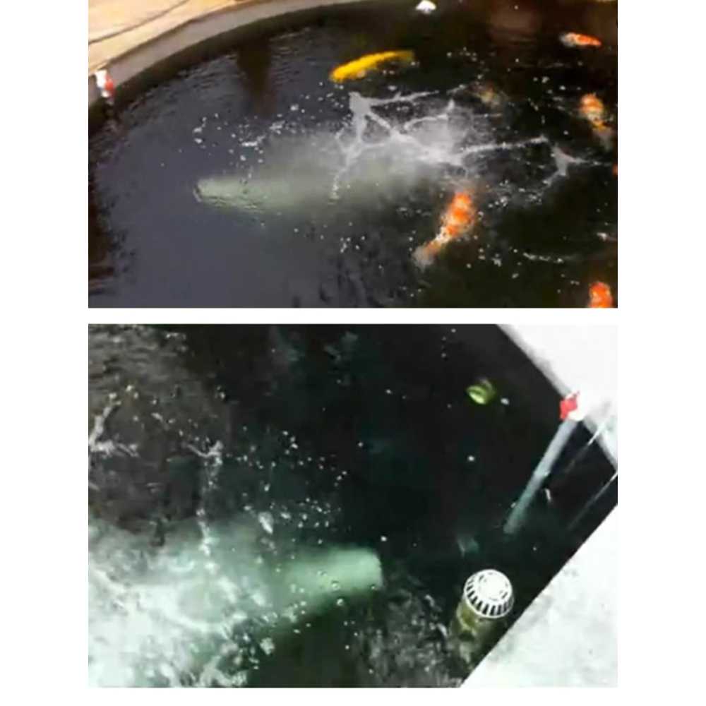 수조 기포기 연못 산소발생기 에어펌프 횟집 공급기 워퍼펌프 웨이브 양식장 산소펌프 - 상세 이미지 2