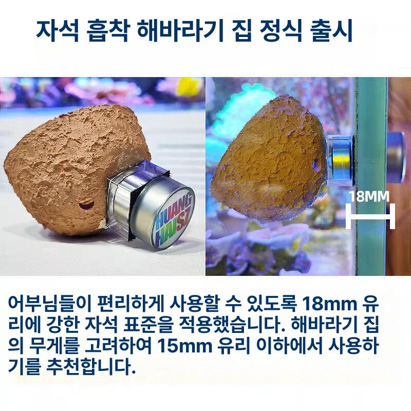 수족관 말미잘집 암초 해수어항 물고기 인공 풍경 용품 거북이 산란 꾸미기 - 상세 이미지 4