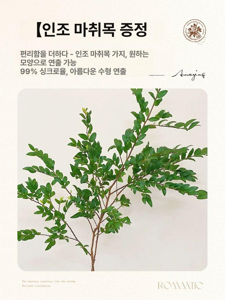 스퀘어 식물 조명 원격조절 감성 무드등 화분 재배 인테리어 조명기구 - 상세 이미지 5