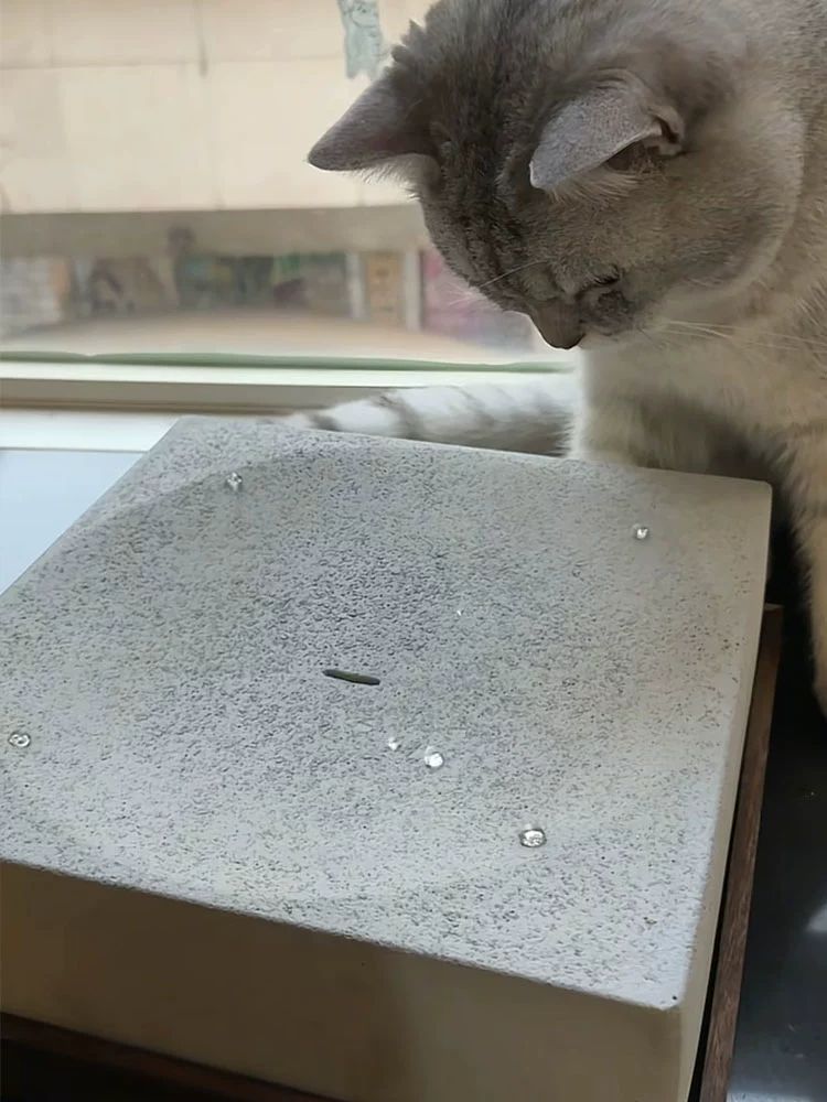 반려묘용품 고양이급수기 미니멀 자동급수기 표면 정수기 애견 디자인 반려견 물통 - 상세 이미지 2
