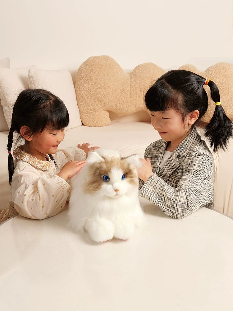 인테리어 리얼고양이인형 소품 피규어 모형 애착인형 리얼펫 진짜 앉은 봉제 수공예 - 상세 이미지 4