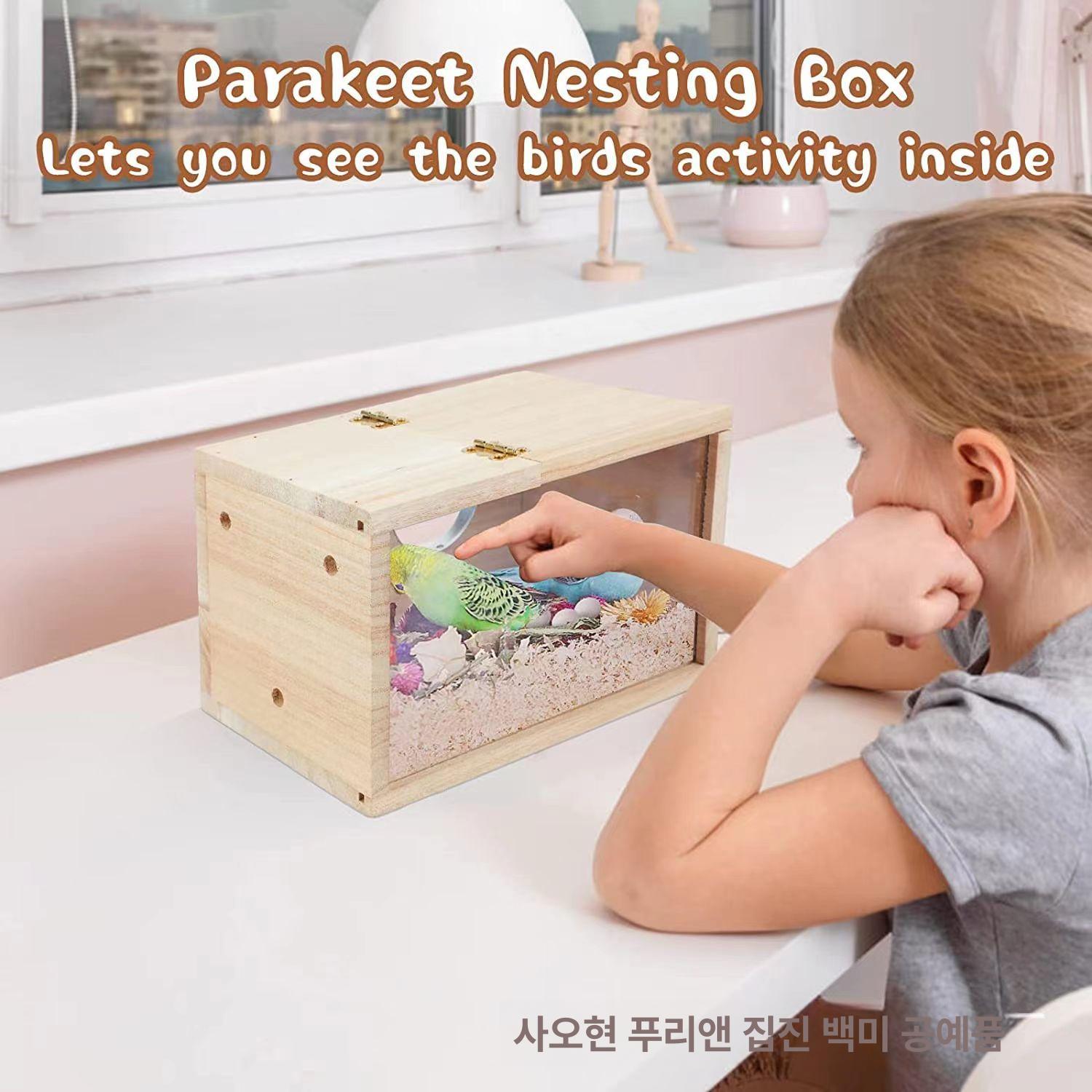 나무 새집 앵무새 코카티엘 사육 반려동물 잉꼬 아크릴 하우스 부화 투명한 이동장 - 상세 이미지 3