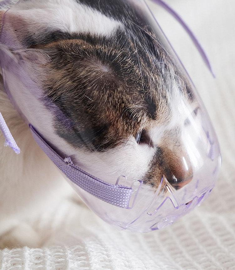 고양이 입마개 물림방지 넥카라 긁힘 커버 통기성 장갑 얼굴 안전 입막이 보호캡 - 상세 이미지 2