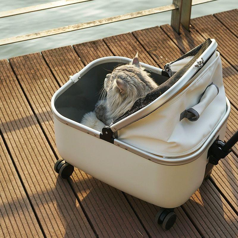 고양이 강아지캐리어 외출 반려동물 산책 이동가방 반려견 반려묘 여행용 투명캐리어 - 상세 이미지 2