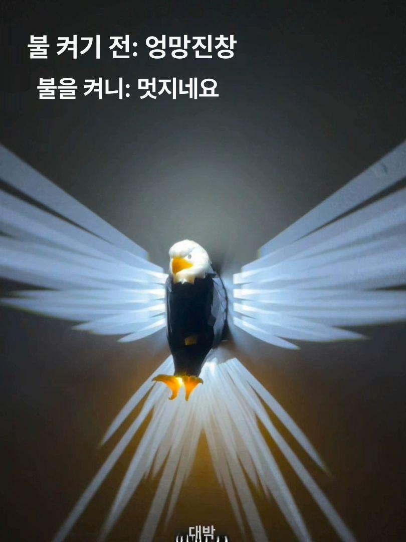 램프 독수리조명 침실 벽등 감성 카페 거실 펜던트 천장 라탄조명 전등갓 수유 배터리 - 상세 이미지 3